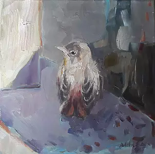 Arleta Eiben - Robin 1