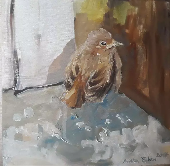 Arleta Eiben - Rudzik 2