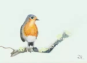 Zdzisław Rutkowski - Rudzik