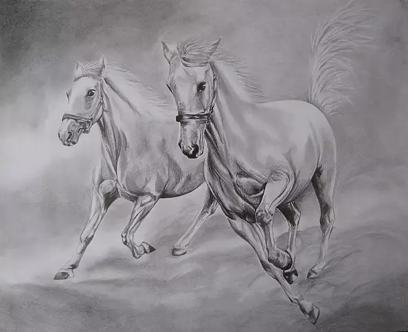 Emilia Lewandowska - Chargers