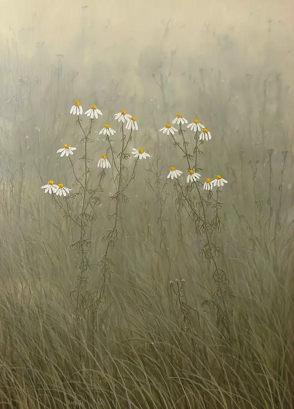 Dariusz Król - Rumianki