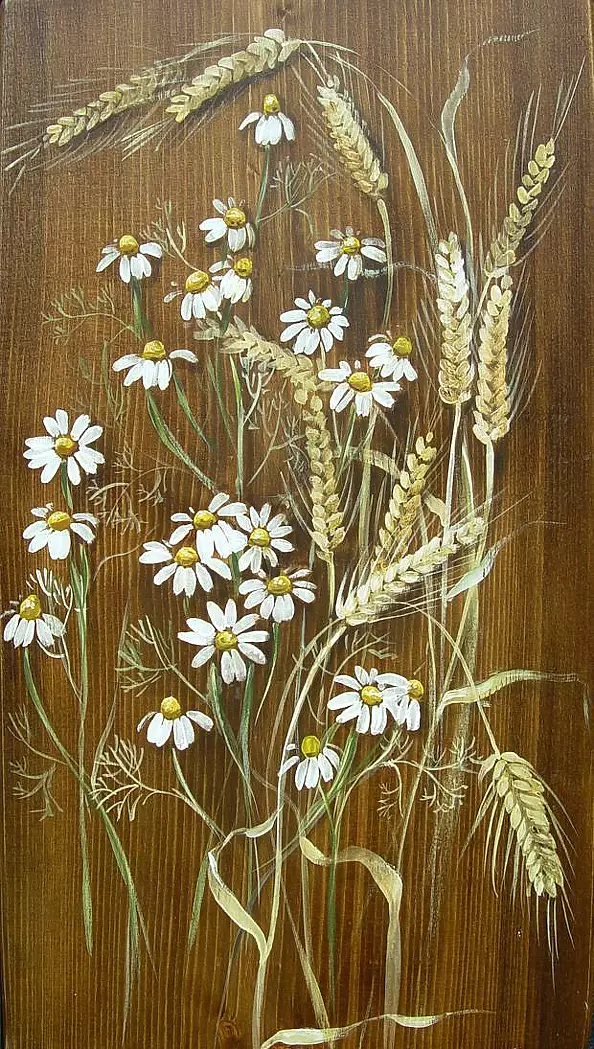 Katarzyna Niemczak - Rumianki i zboże