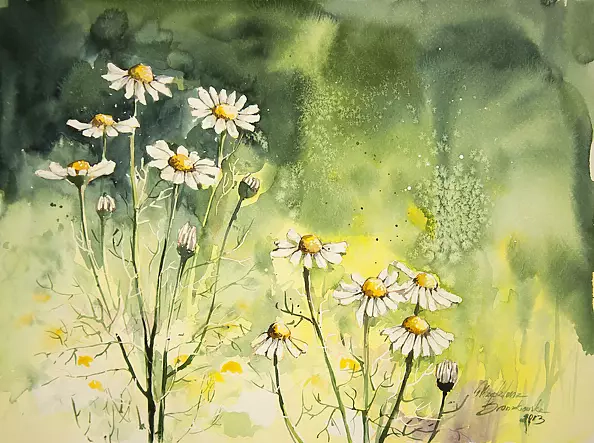 Magdalena Bronakowska - Rumianki