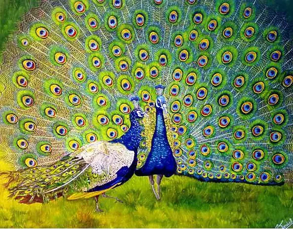 Paolo Terdich - ruota