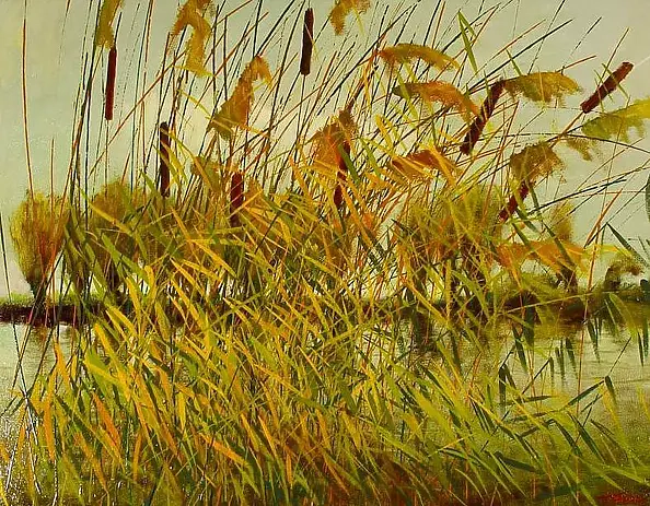 Tadeusz Gazda - rushes