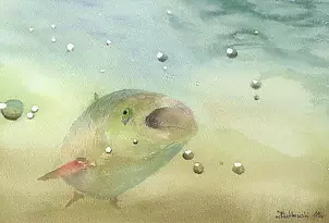 Zdzisław Rutkowski - Ryba