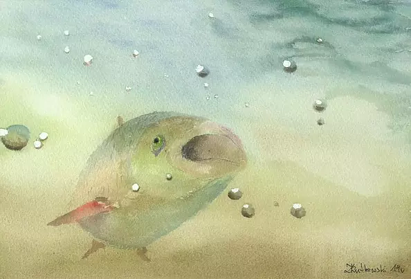 Zdzisław Rutkowski - Ryba