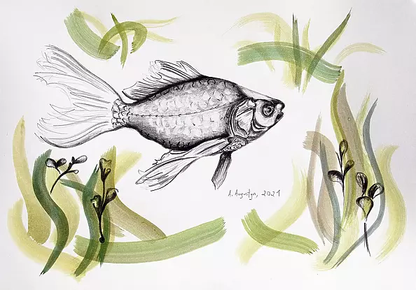 Amelia Augustyn - fish