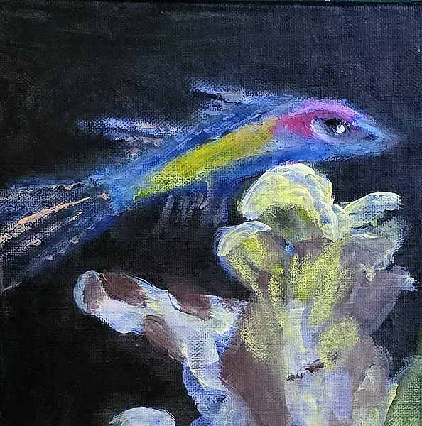 Krystyna Mościszko, Rybka, Obraz akrylowy - płótno, 30 x 30