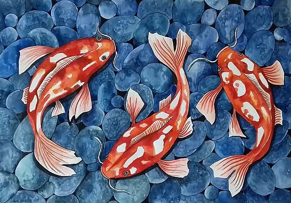 Justyna Kocztorz - Koi fish