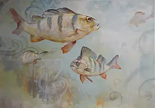 Paweł Wołos - Ryby