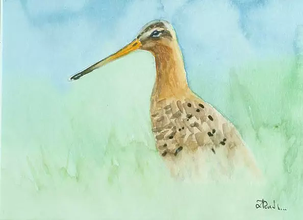 Zdzisław Rutkowski - Rycyk III