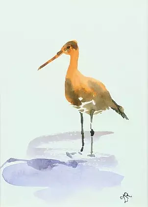 Zdzisław Rutkowski - Rycyk II