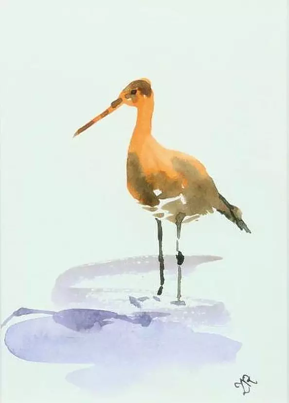 Zdzisław Rutkowski - Rycyk II