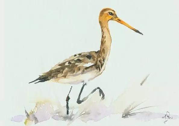 Zdzisław Rutkowski - Rycyk II