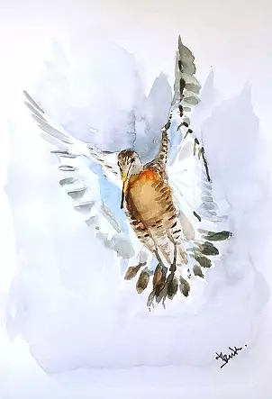 Zdzisław Rutkowski - Rycyk w locie