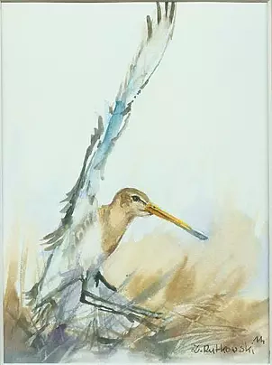 Zdzisław Rutkowski - Rycyk