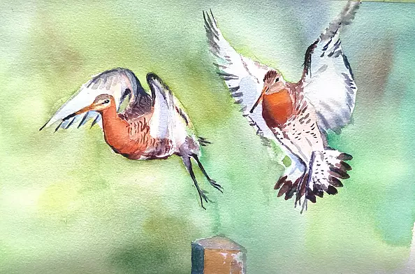 Zdzisław Rutkowski - Rycyki take off