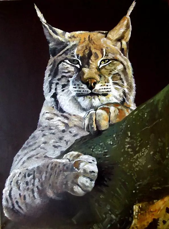 Mateusz Dolatowski - Ryś