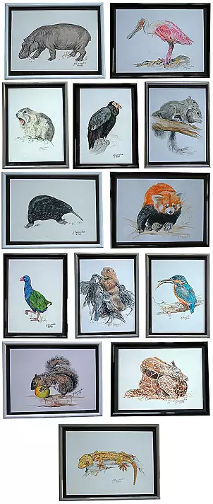 Justyna Kurowska - pencil drawing