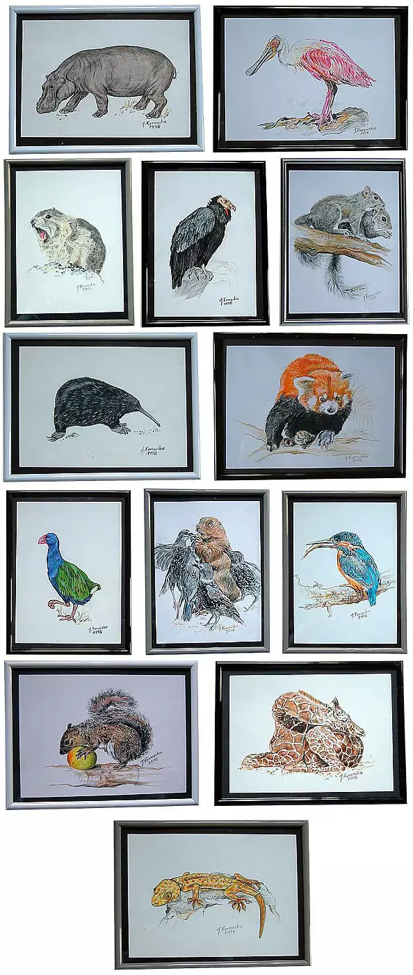 Justyna Kurowska - pencil drawing