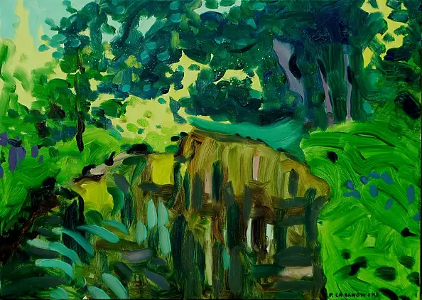 Paweł Cabanowski - Rzeka Bystra w Wąwolnicy