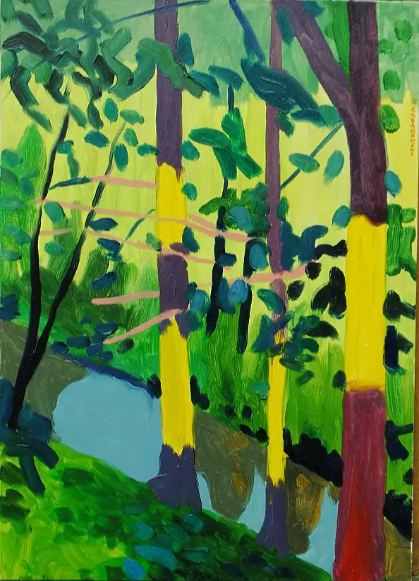 Paweł Cabanowski - Rzeka Bystra w Wąwolnicy