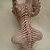 Dominika Rumińska - Bones Sculpture