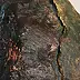 Adriana Plucha - Scultura "Obsidian Sun" della serie "Gardens of the World" - Asia. Pietra (granito), tempera a base di legatura di uova, "Oro delle stelle", base foglia oro 23,75 carati, dim. 39x39x29,5 cm, 2018.