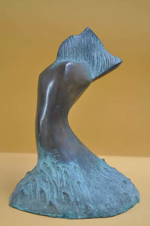 Antoni Janusz Pastwa - Venus 1