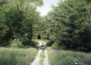 Pier Luigi Parnisari -  SENTIERO