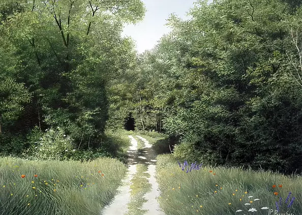 Pier Luigi Parnisari -  SENTIERO