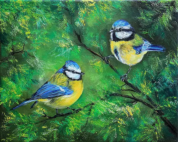 Radosław Popek - titmouse