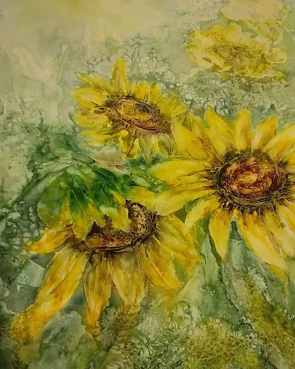 ANNA MECHLIŃSKA - SŁONECZNIKI