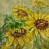 ANNA MECHLIŃSKA - SŁONECZNIKI