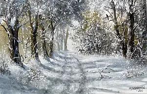 Marek Szczepaniak - SROKA # 2