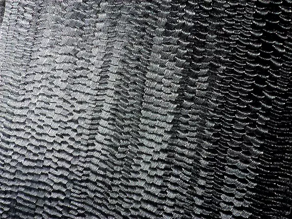 Łukasz Dziedzic - STWORZENIE ŚWIATA