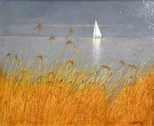   - Sailboat and grass