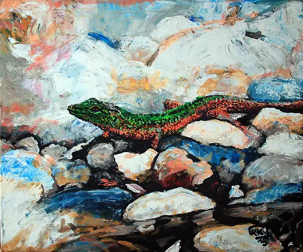 Robert Kasprzyk - Salamander