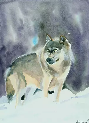 Zdzisław Rutkowski - Samiec alfa