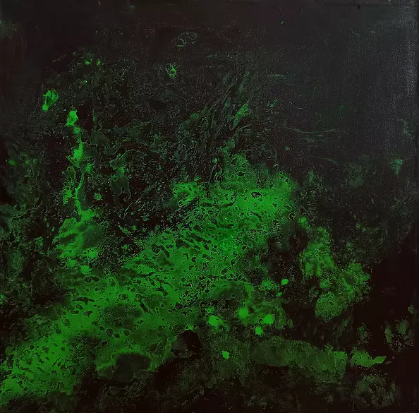 Iwona Jabłońska - Hybrid airplane