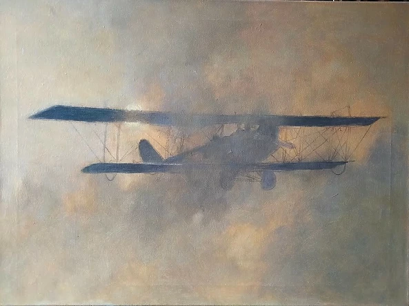 Mieczyslaw Wieczorek - Plane