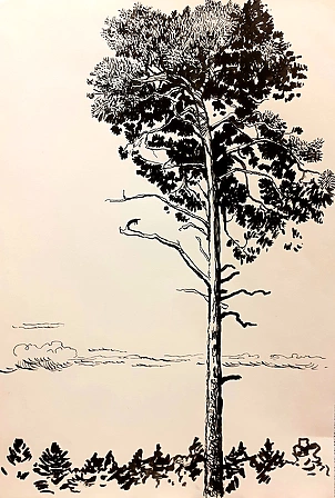 Rafał Czwichocki - Lonely pine tree