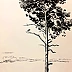 Rafał Czwichocki - Lonely pine tree