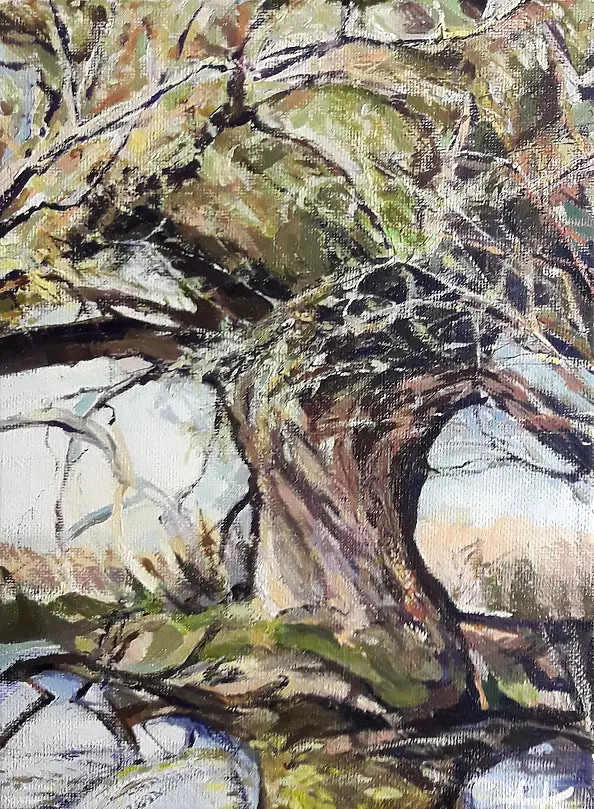 Anna Kowal - Lonely willow