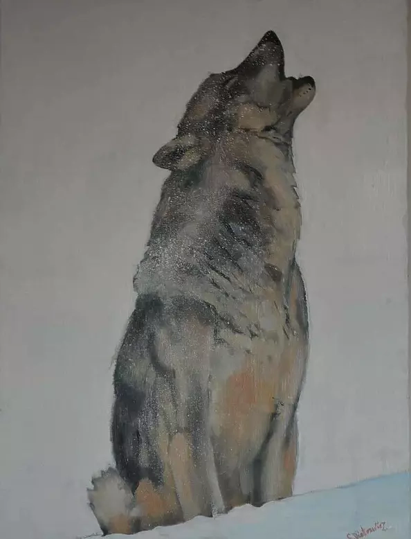 Sylwia Piotrowicz - Samotny wilk