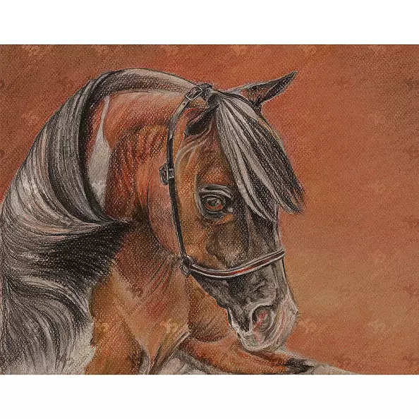 Jowita Szmigiero - Sanwan