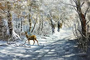 Marek Szczepaniak - Sarna