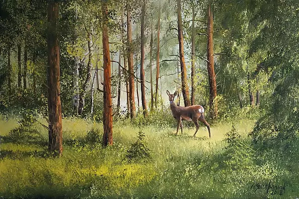Marek Szczepaniak - On a forest clearing