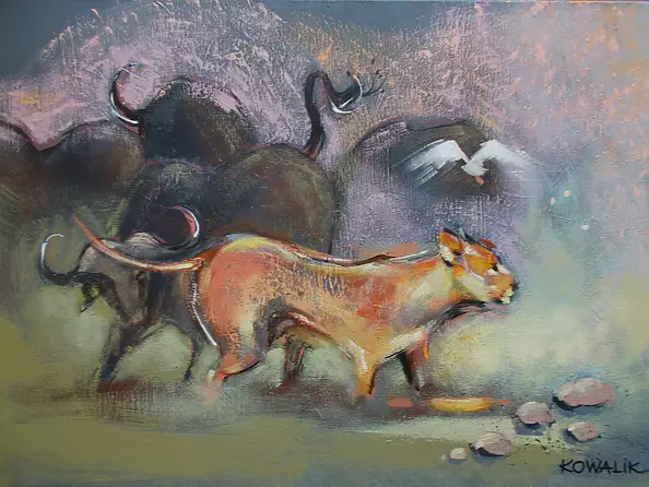 Ilona Kowalik - Savannah - stranger